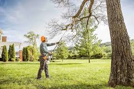 How Our Tree Care Process Works  in  Barnum Island, NY